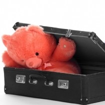 плюшевый мишка