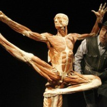 Искусство или глумление? «Миры тела» - выставка человеческих останков (ФОТО)