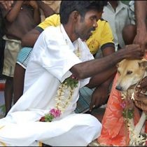В Индии пятилетнюю девочку выдали замуж за собаку